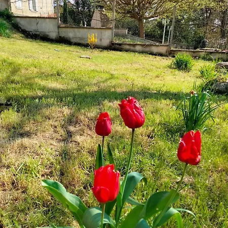 Maison De Vacance Calme Et Chaleureuse * Chalais (Charente)